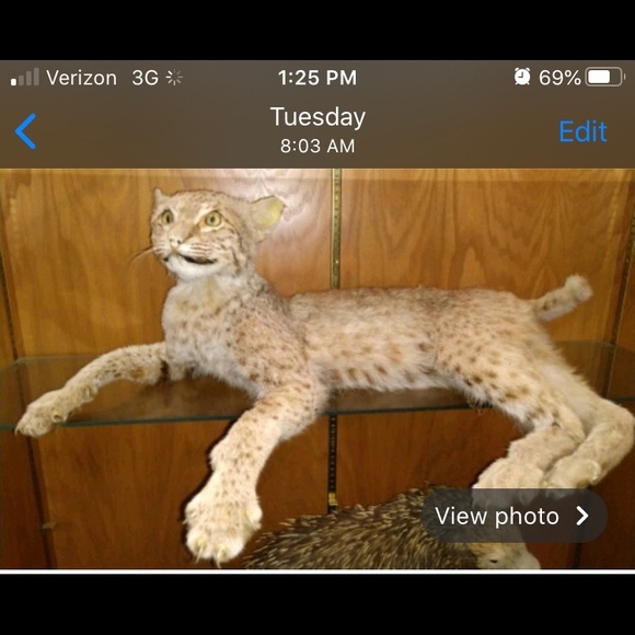 Rare items, garage sale 1/11/2020 - Picture 2 of 6